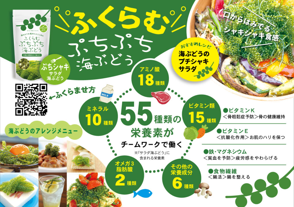 ふくらむぷちぷち海ぶどう