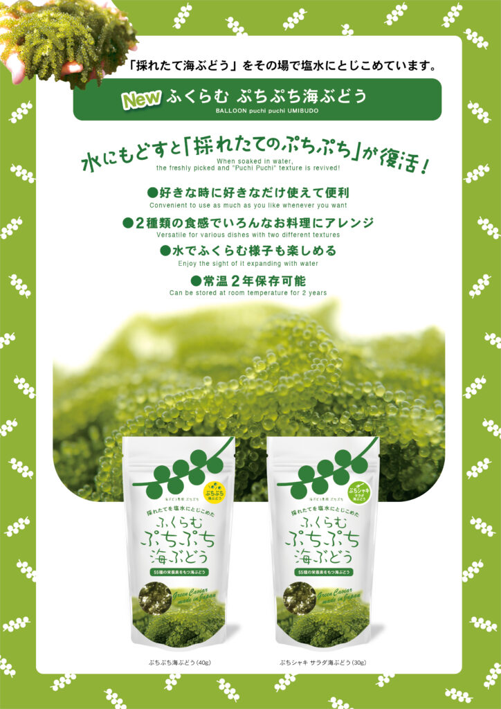 ふくらむぷちぷち海ぶどう