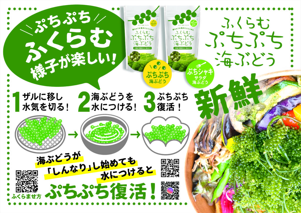 ふくらむぷちぷち海ぶどうの使い方