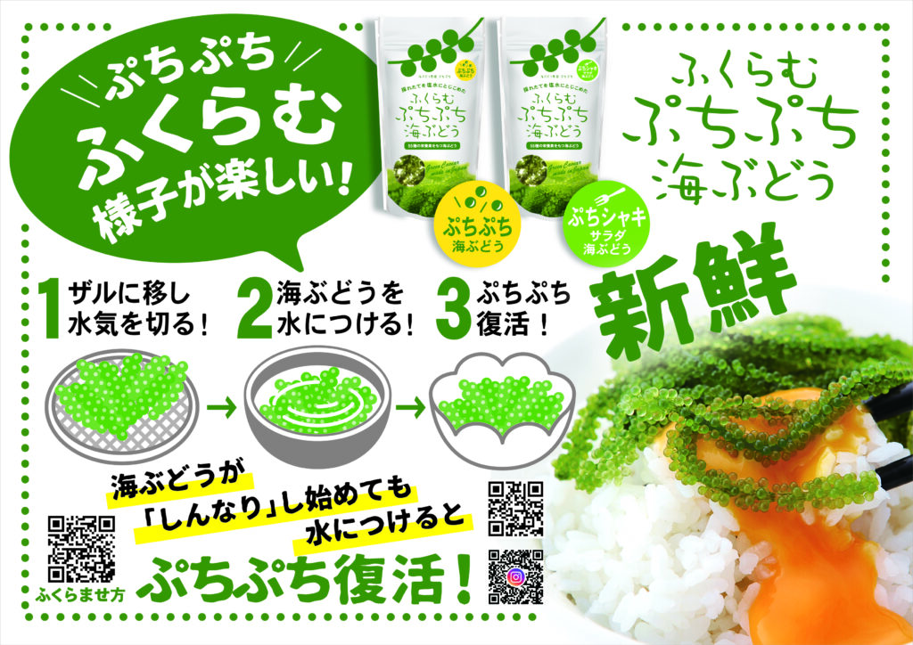 ふくらむぷちぷち海ぶどう