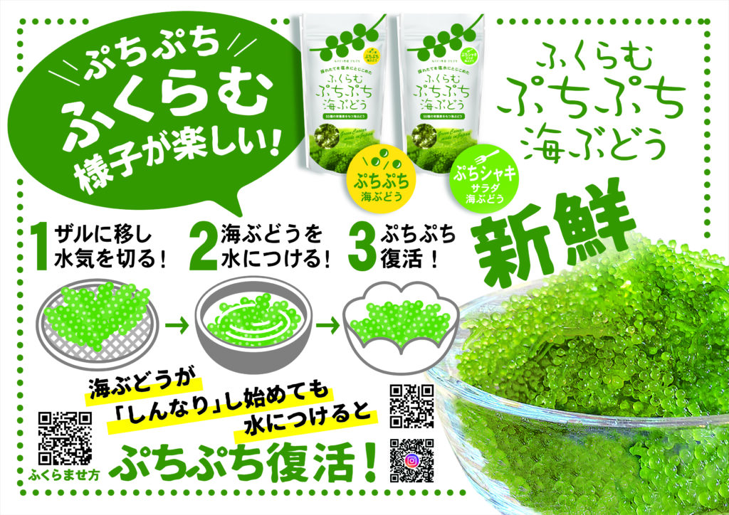 ふくらむぷちぷち海ぶどう