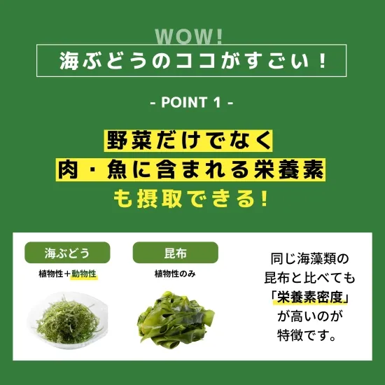 海ぶどうのここがすごい