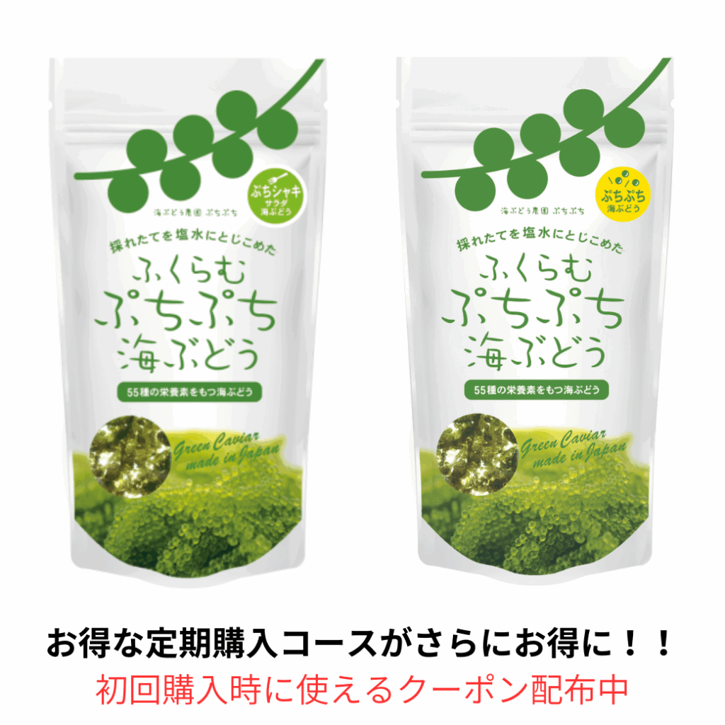 ふくらむぷちぷち海ぶどう