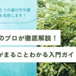 入門ガイド記事メイン画像